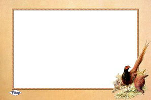 рамка для фотошопа фазан