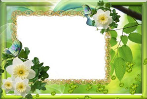 рамка для фотошопа зелень весны