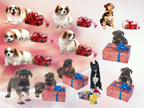 клипарт для фотошопа маленькие собачки и подарки