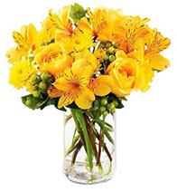 клипарт для фотошоп цветы в вазах