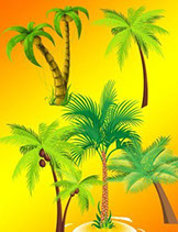 клипарт для фотошопа пальмы скачать бесплатно