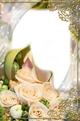 рамка для фотошопа кремовые розы