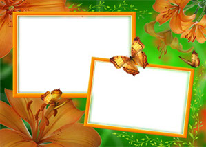 рамка для фотошопа оранжевые лилии