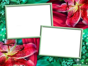 рамка для фотошопа два фото и лилии