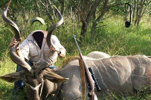 скачать шаблон для фотошопа охота на антилопу