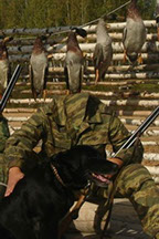 скачать бесплатно шаблон для фотошопа охотник с собакой верный друг охотника