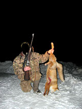 скачать бесплатно шаблоны для охотников ночная охота на лису