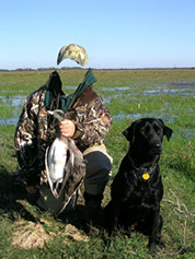скачать беслатно шаблоны для охотников на болоте с уткой и собакой