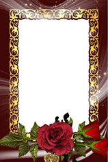 рамка для фотошопа роза