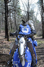 рыцарь в синем одеянии на боевой лошади шаблон