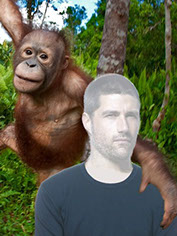 шаблон фотошоп с обезьяной, фото с орангутаном, шутоный шаблон с животным, фото с обезьяной