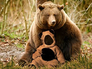 шаблон для фотошопа медвежонок и медведь