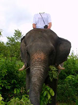 мужской шаблон для фотошоп на слоне