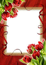 рамка для фотошопа с тюльпанами