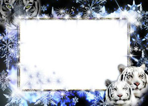 рамка для фотошопа тигры ночь