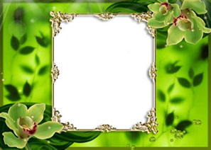 рамка для фотошопа зеленая с орхидеей